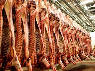 صادرات را بهانه کردند تا قیمت گوشت را بالا ببرند