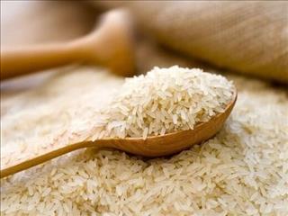 کاهش ۵۰ تا ۶۰ درصدی مصرف برنج ایرانی