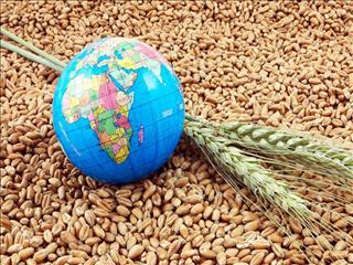 رتبه ایران در امنیت غذایی
