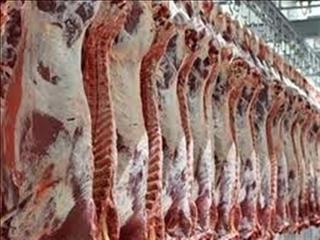توزیع گوشت گوسفندی خارجی با قیمت هر کیلوگرم ۲۲۰ هزار تومان آغاز شد