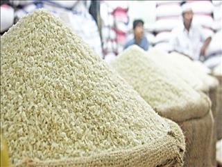 برنج گران روی دست کشاورزان مانده است