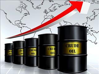 قیمت جهانی نفت امروز ۱۴۰۲/۰۸/۲۹ |برنت ۸۱ دلار و ۱۶ سنت شد