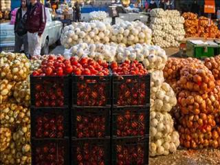 صادرات پیاز و گوجه فرنگی به‌زودی ممنوع می‌شود