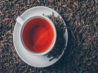 صادرات چای ایرانی ۶۴ درصد بیشتر شد/ امارات بزرگترین خریدار