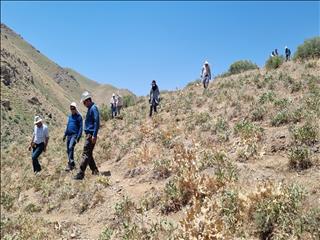 آخرین وضعیت اجرای طرح تحول زمین‌شناسی و اکتشاف ذخایر معدنی استان کردستان