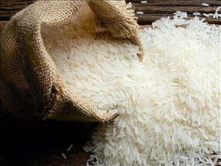تکذیب اختصاص ۷۰۰ میلیون دلار ارز به یک شرکت برای واردات برنج
